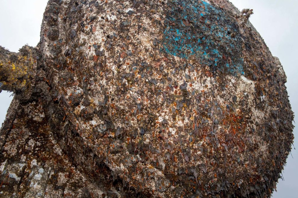 The front end of the Northern Isles datacenter encrusted with algae and barnacles