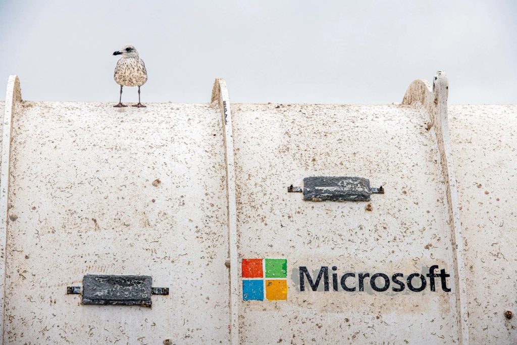 A seabird sits on top of the cleaned Northern Isles datacenter