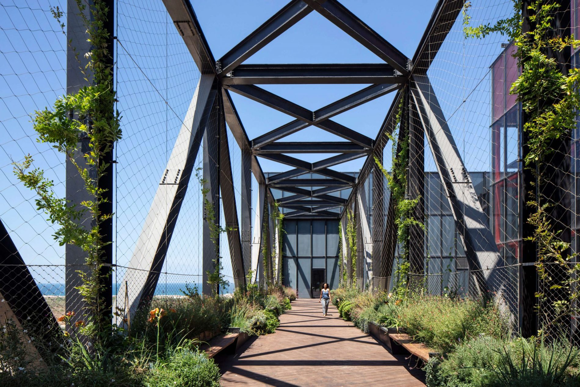 Outdoor walkway with greenery