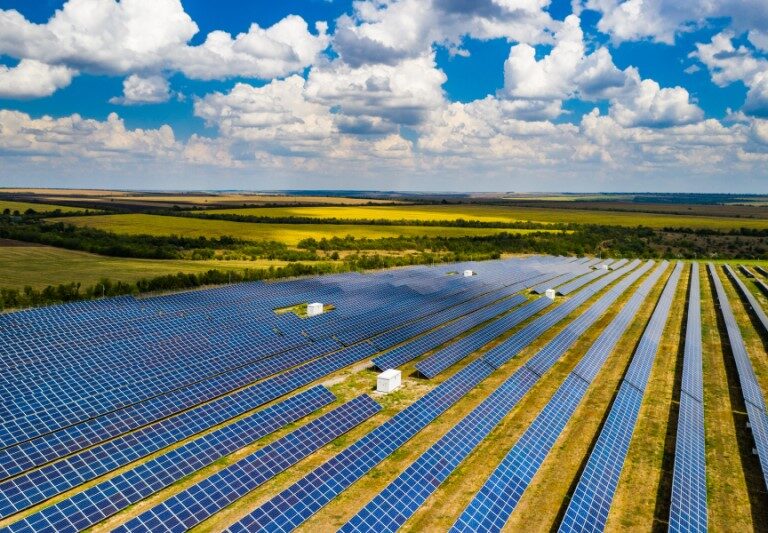 Field covered with rows of solar panels