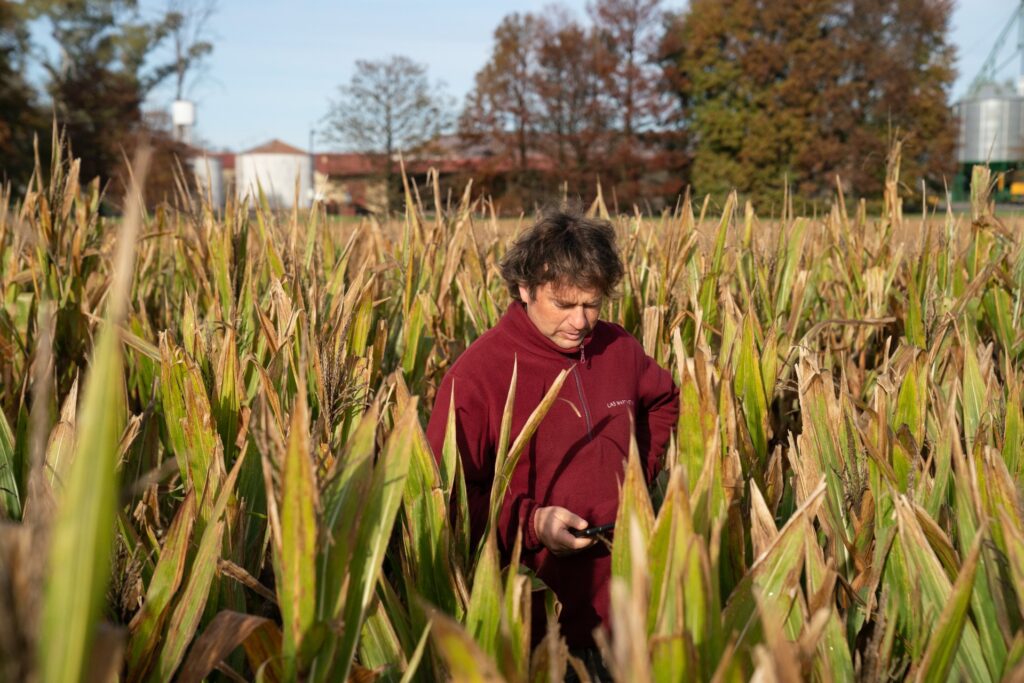 A man stands in a field