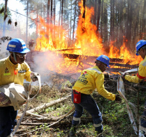 Firefighters working together to place a fire hose at a fire before them