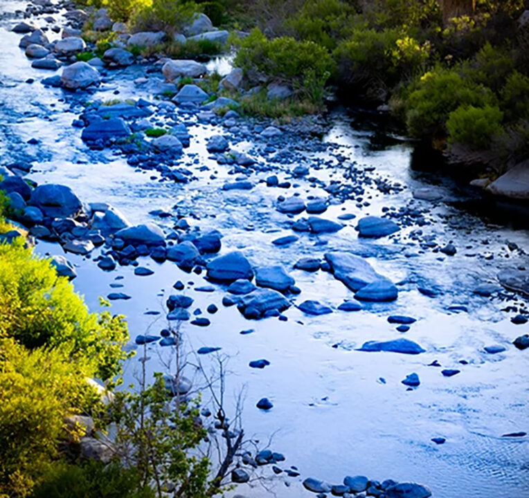 A stream running through a wooded area