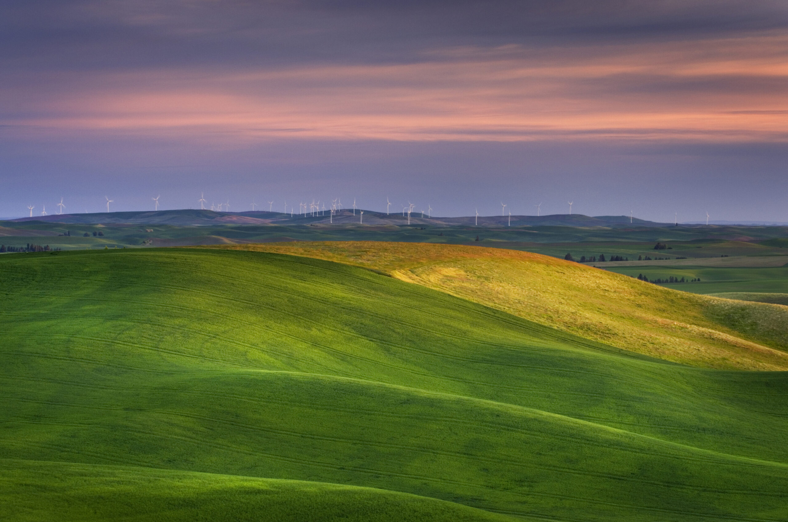 Rolling green hills in a rural landscape during sunset, with a gradient sky of pink and purple hues. Wind turbines dot the distant horizon.